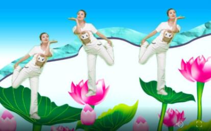 甘肃天水金芳广场舞《爱上一朵花》原创32步弹跳 背面演示及分解教学