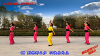 舞动旋律2007健身队广场舞让爱领舞 附分解动作教学 原创编舞心随