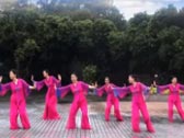 舞在深圳湾广场舞紫藤花 正背面演示及分解动作教学 编舞雨丝