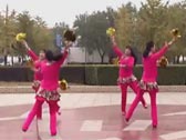 香儿广场舞喜庆临门 双人对跳花球舞 正背面演示及分解动作教学 编舞香儿