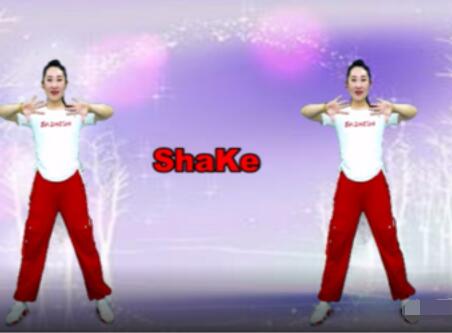晓杰广场舞《Shake》网红DJ摆胯32步步子舞 背面演示及分解教学