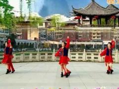 新风尚广场舞歌在飞 创意双人舞 正背面演示及分解动作教学 编舞陈敏