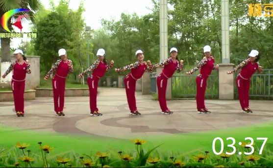 杨丽萍广场舞《兔子舞》3种跳法，经典歌舞简单易学