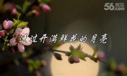 北京艺莞儿广场舞透过开满鲜花的月亮 附分解动作教学 原创编舞艺莞儿