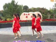 江南雨广场舞愿 双人舞 正背面演示及分解动作教学 编舞琼舞