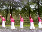 安徽池州舞之美广场舞来生愿做一朵莲  正背面演示及分解动作教学 编舞舞之美