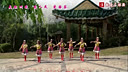 深圳山茶广场舞最美的歌儿唱给妈妈 正背面演示及分解动作教学 编舞山茶