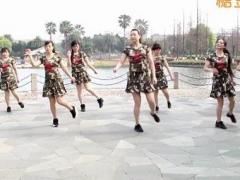 温州燕子广场舞女人没有错 正背面演示及分解动作教学 编舞燕子