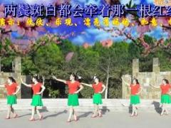 茉莉天津红梅广场舞春天是个好季节 正背面演示及分解教学 编舞茉莉