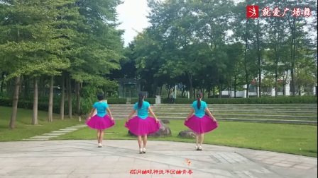 广州飘雪广场舞孤独的华尔兹 背面演示及分解教学 编舞飘雪