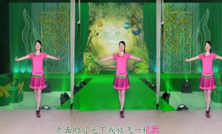 藁城琴琴广场舞《世界上最美的花》背面演示及分解教学 编舞琴琴