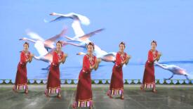 汕头燕子广场舞《我的九寨》藏族舞 背面演示及分解教学 编舞汕头燕子