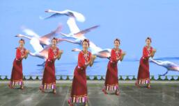 汕头燕子广场舞《我的九寨》藏族舞 背面演示及分解教学 编舞燕子