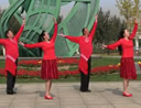 北京华丽飞歌广场舞《你的样子》背面演示及分解教学 编舞杨艺格格