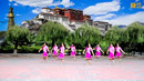 云裳广场舞《白云居住的地方》藏族舞 背面演示及分解教学 编舞花语