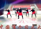 高高广场舞中国有个习大大 附分解动作教学 原创编舞高高