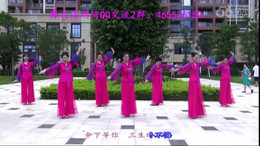 舞在深圳湾广场舞青花梦 附分解动作教学 原创编舞雨丝