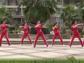 杨丽萍广场舞跳动的旋律 搏击健身操 附分解动作教学 原创编舞杨丽萍