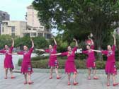 厦门乐海广场舞向着太阳 附分解动作教学 原创编舞乐海