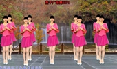 燕子广场舞5211《犯错》演唱斯琴高丽简单舞步含分解动作教学动作