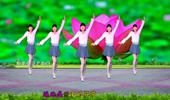 流行动感广场舞《挣钱难》现实有理幽默风趣32步好学好看河北青青广场舞