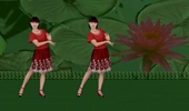 微妙广场舞《农家女》原创简单优美步子舞