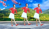 山地情歌精选广场舞《阿里山的姑娘》32步舞蹈含分解教学