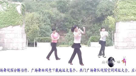 浦江舞蹈健身操排舞广场舞年会编排《采茶舞》应利英广场舞