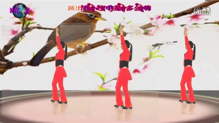 阳光美梅广场舞【在我心里有个你】32步步子舞2016最新广场舞视频大全