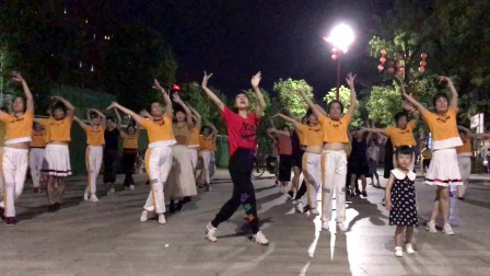 异域风情舞曲《印度之夜》旋律好听舞姿优美简单32步含分解动作教学