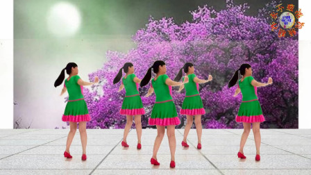 阳光美梅广场舞【我们共同的家】励志正能量健身舞舞蹈含分解教学编舞美梅