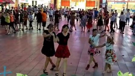 广场舞美丽之路中老年健身广场舞操获奖视频