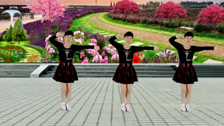 草原歌曲32步现代流行广场舞【站在草原望北京】