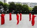 泗洪广场舞 自由飞翔dj广场舞(16步)中年