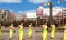 九江市文化宫向霞广场舞中国结团队演示