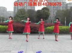 356动动广场舞 健身舞 祥云生晴朗 含教学口令分解与背面