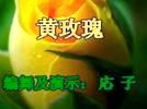 応子广场舞 黄玫瑰(练习做视频)