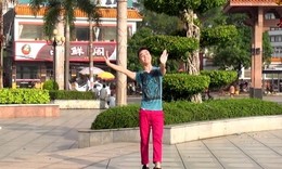 广西廖弟健身舞系列 广场舞都市外乡人 演唱闫学晶 编舞廖弟