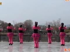 茉莉广场舞百花齐放 正背面口令分解动作教学 茉莉原创舞蹈