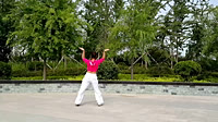 舞动旋律2007广场舞舞动中国 正背面口令分解动作教学