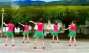 兴梅广场舞拽 正背面口令分解动作教学 兴梅原创舞蹈
