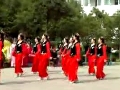 湖北艳艳广场舞 新疆舞---我从新疆来
