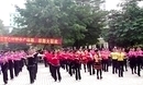 大湾群联广场舞广州以舞会友活动开场舞都是为了爱