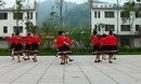 春花广场舞朝鲜族圈舞朝鲜族四步舞附背面演示原创