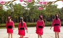可爱玫瑰花广场舞自由步恰恰舞含分解动作