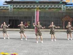 重庆叶子广场舞最美的草原 正背面演示及分解教学 编舞叶子