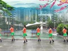 重庆叶子广场舞《曼丽》背面演示及分解教学 编舞叶子