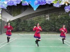 重庆叶子广场舞《冰河时代》步子舞 背面演示及分解教学 编舞叶子
