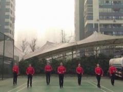 重庆叶子广场舞《你说女人容易吗》背面演示及分解教学 编舞叶子