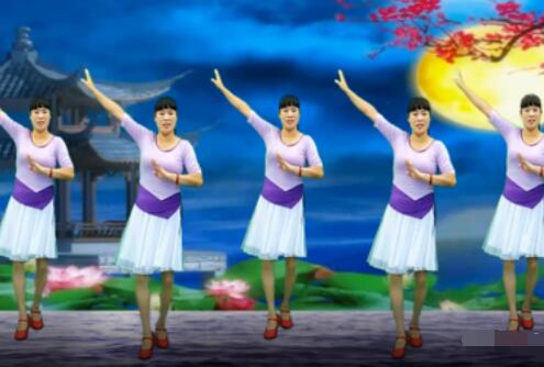 藁城琴琴广场舞 中秋 64步形体舞 背面演示及分解教学 编舞琴琴